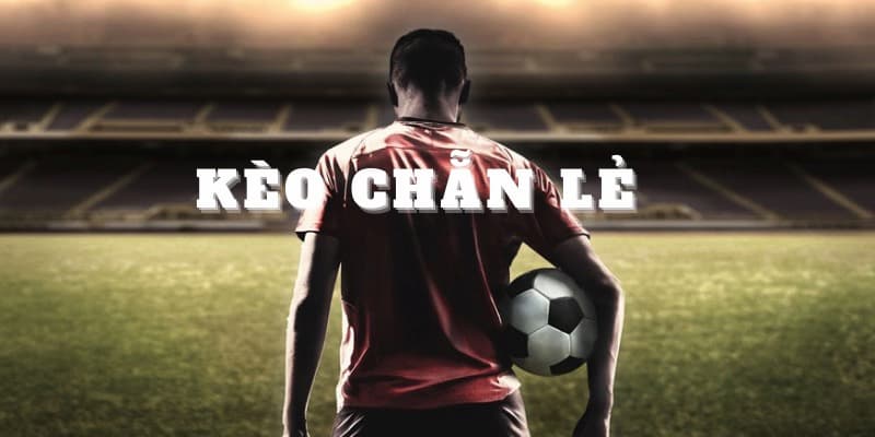 Kèo Chẵn Lẻ - Loại Hình Đặt Cược Rất Được Yêu Thích Hiện Nay 2 Tổng hợp những ưu điểm vô cùng nổi bật của loại hình kèo chẵn lẻ