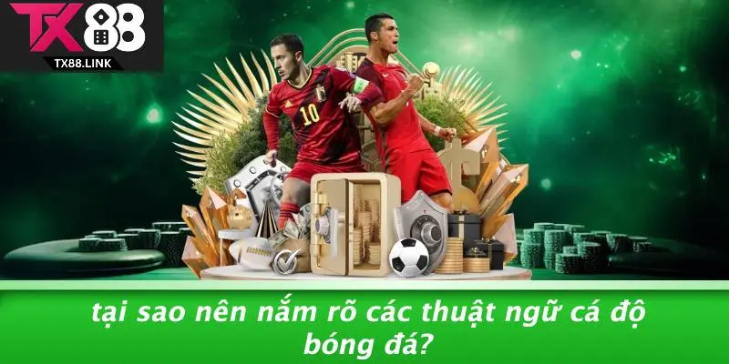 THUẬT NGỮ CÁ ĐỘ BÓNG ĐÁ: KHÁI NIỆM VÀNG CHO CHIẾN THẮNG 3 Tại Sao Nên Nắm Rõ Các Thuật Ngữ Cá Độ Bóng Đá?